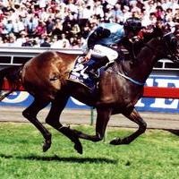 Brew - Melb Cup