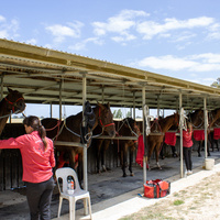 Naracoorte Cup-019