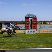 Naracoorte Cup-043