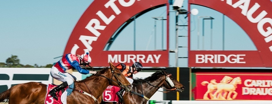 Murray Bridge Racing Club