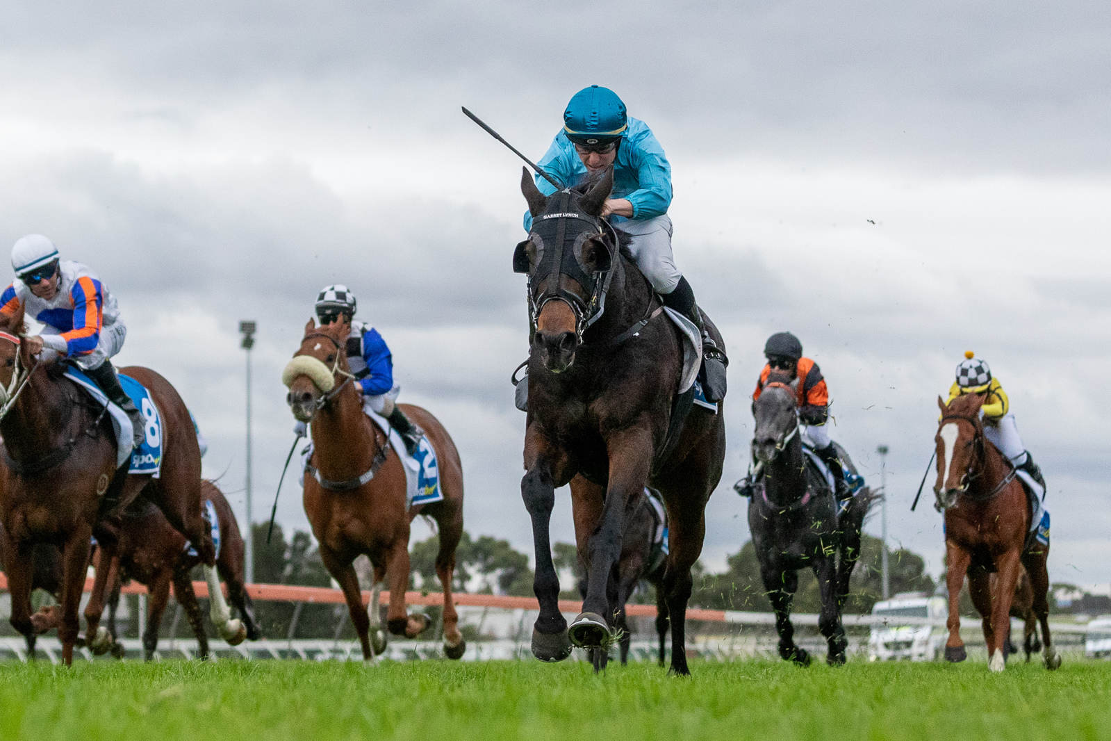 Morphettville Parks Track Report | Country Racing SA