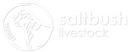 Saltbush Livestock