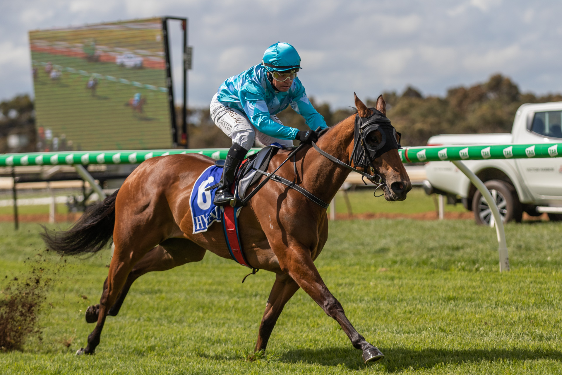 Lincoln Moore's Morphettville Preview | Country Racing SA