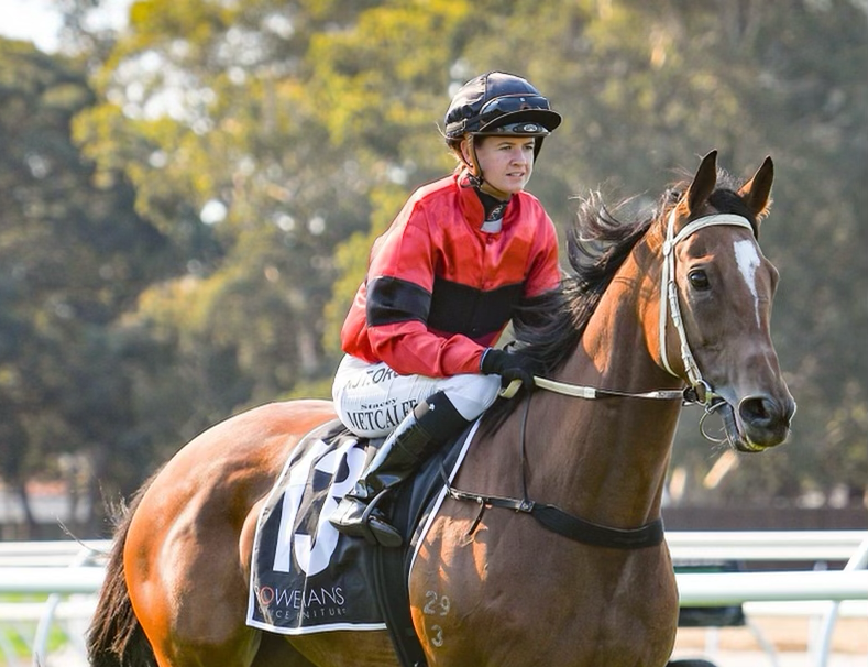 From supermarket, to superstar stable, to SA riding ranks | Country ...