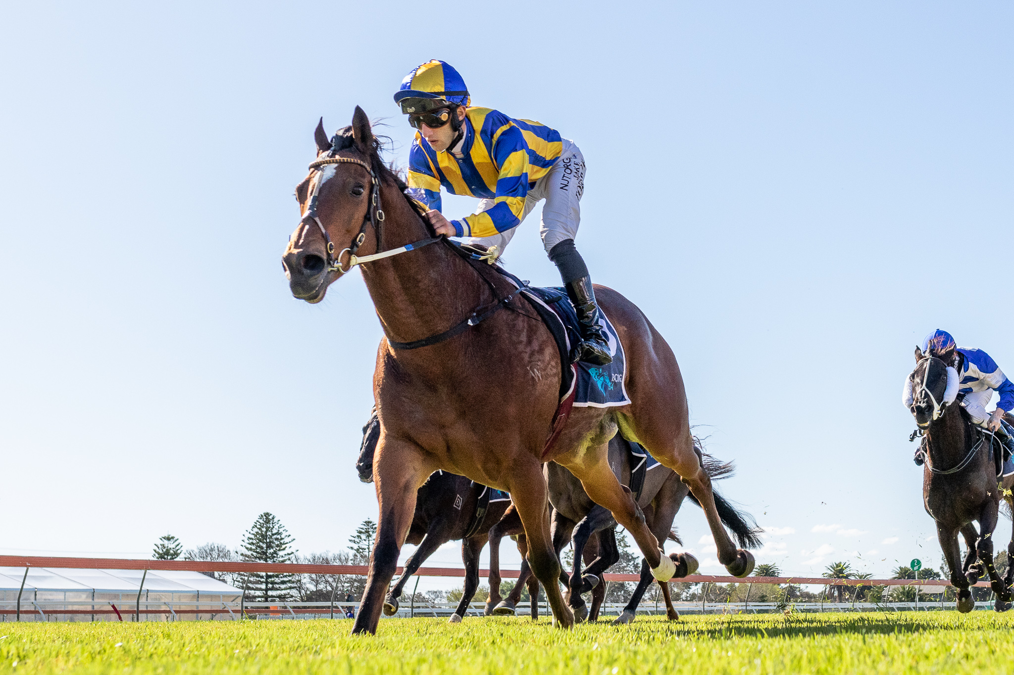 Gawler Track Report and Speed Maps | Country Racing SA