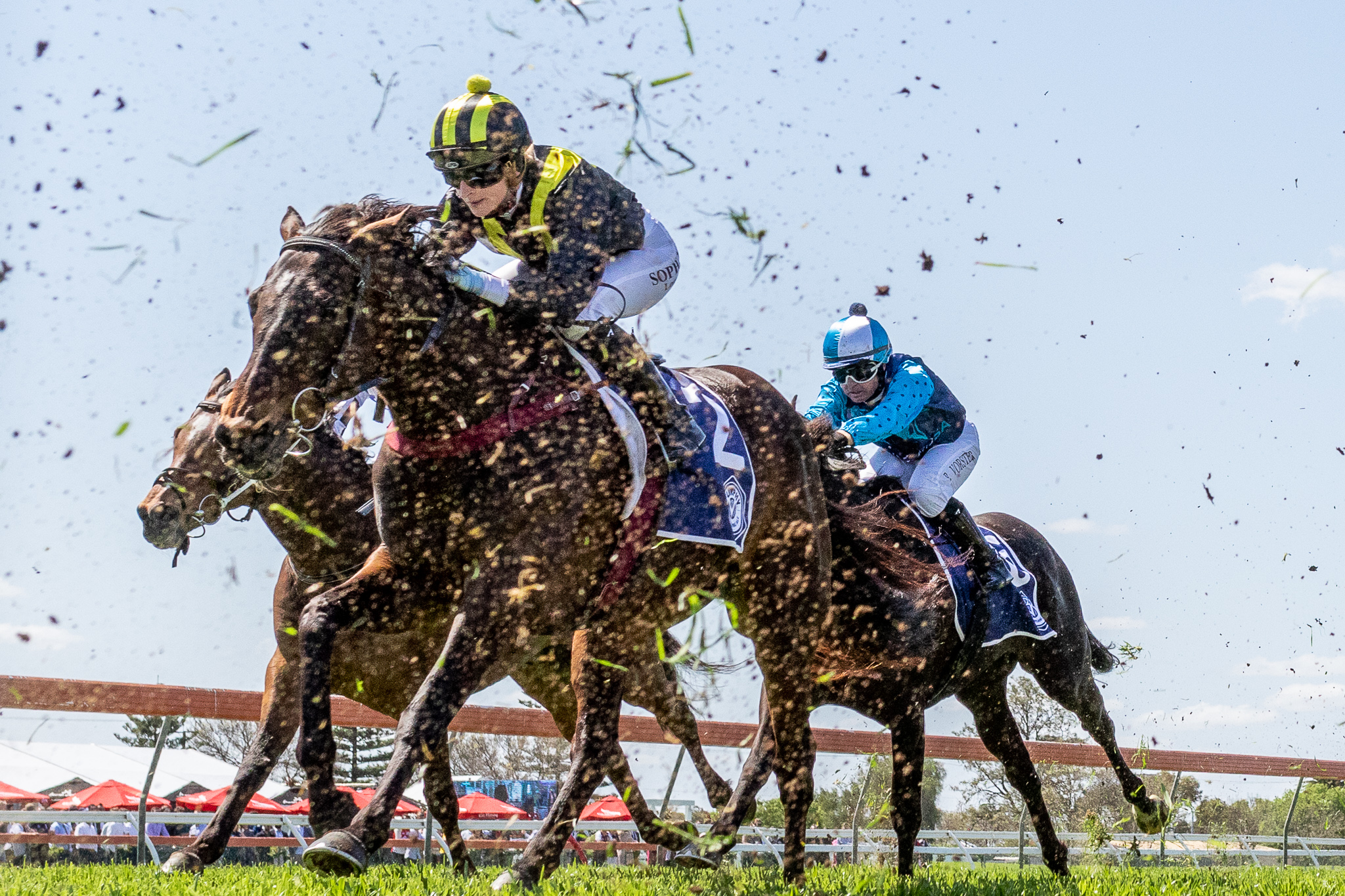 Morphettville Parks Track Report and Speed Maps | Country Racing SA