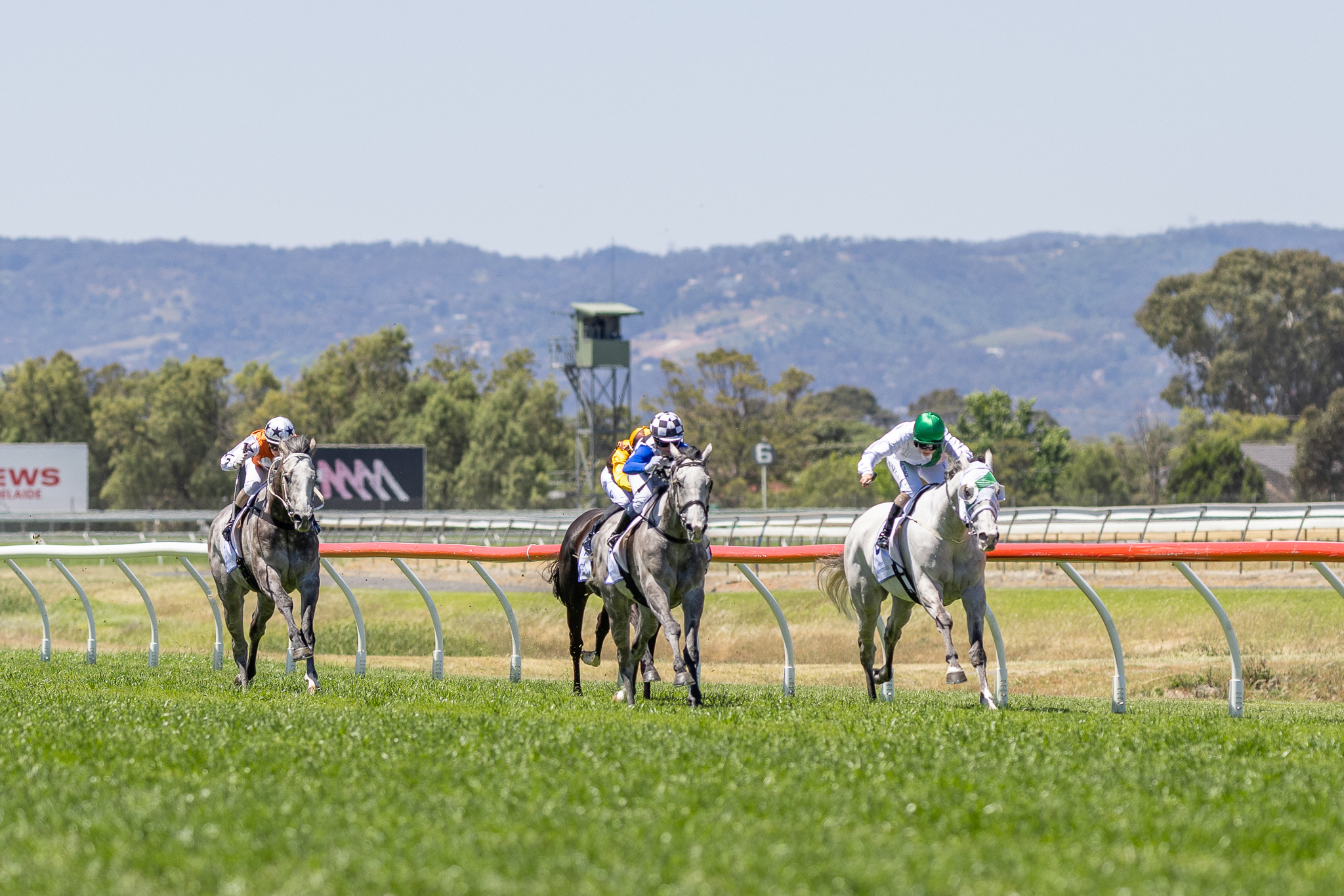 Morphettville Parks track report and speed maps | Country Racing SA