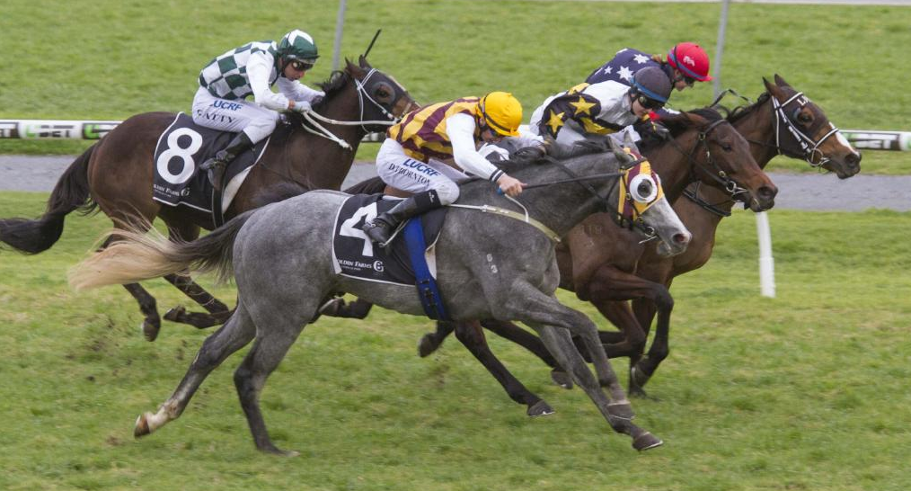 Blue Sapphire Stakes Day: South Australian Chances | Country Racing SA